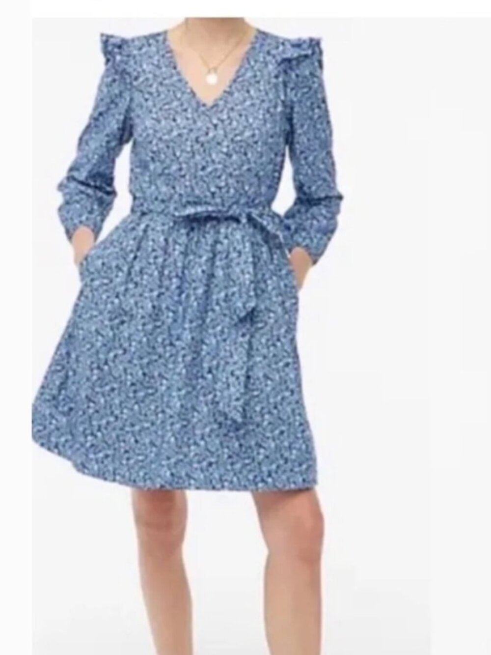 J. Crew PetiteBlue & White Floral Lightweight Cotton Puff Long Sleeve Mini Dress